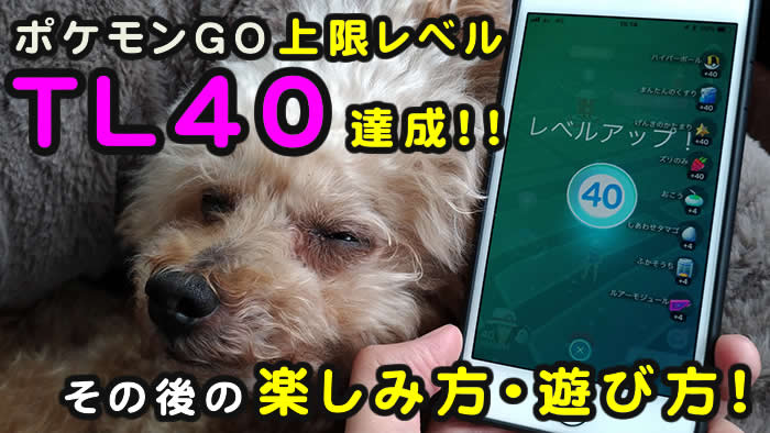 ポケモンgo 上限レベル Tl40 達成 私のおすすめの楽しみ方 遊び方