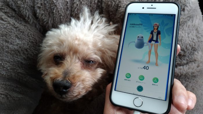 経験値（XP）のゲージが無くなります