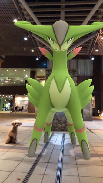 ビリジオン