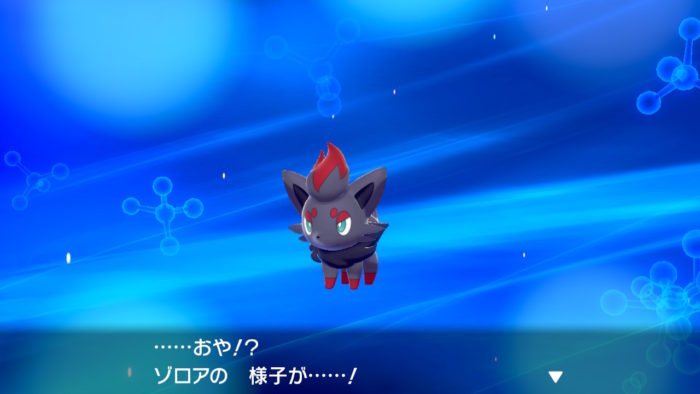 ゾロア087