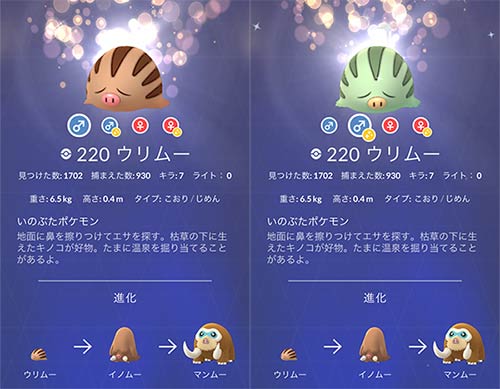 【2週目】ウリムー！