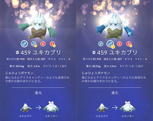 【5週目】ユキカブリ！